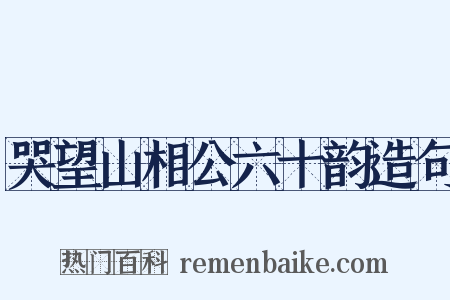 哭望山相公六十韵造句是什么意思的图片